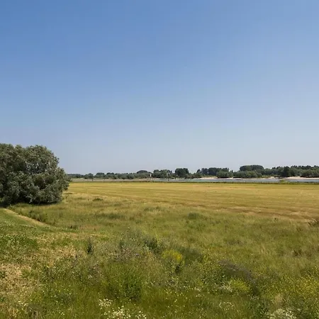Cube Xl 77 I 6-persoons In Holiday home Zennewijnen